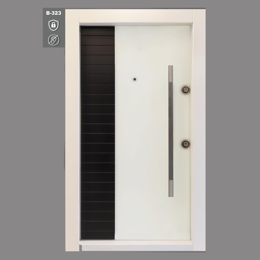 درب ضد سرقت